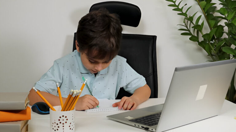 Online Public Schools