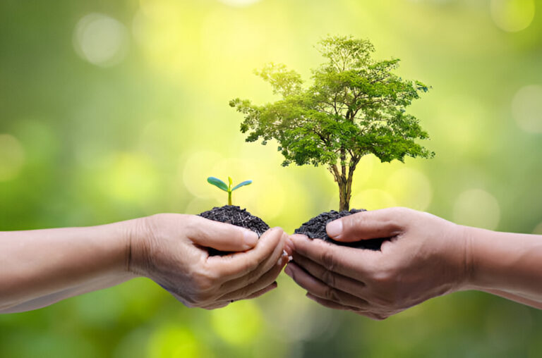 Nature through Responsible Tree Management