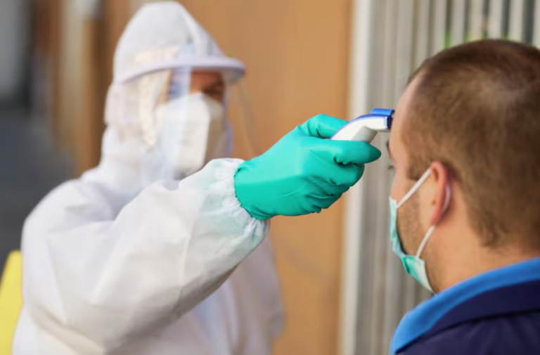 Why Termite Control Requires a Customized Treatment Plan Treatment Plan